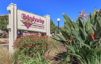 Brandywine Apartments