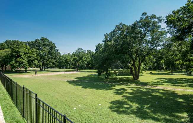 a park with green grass and trees and a black fence