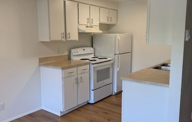 Viking Suites