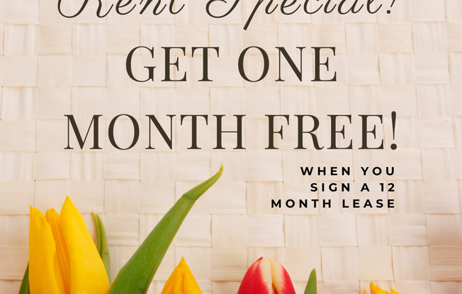 2 beds, 2 baths, 1,000 sqft, $775, Unit 100 E McKinley Ave. -105