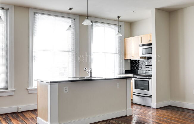 1 bed, 1 bath, 719 sqft, $1,220, Unit 203