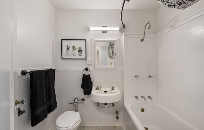 Studio, 1 bath, 618 sqft, $1,850, Unit 510