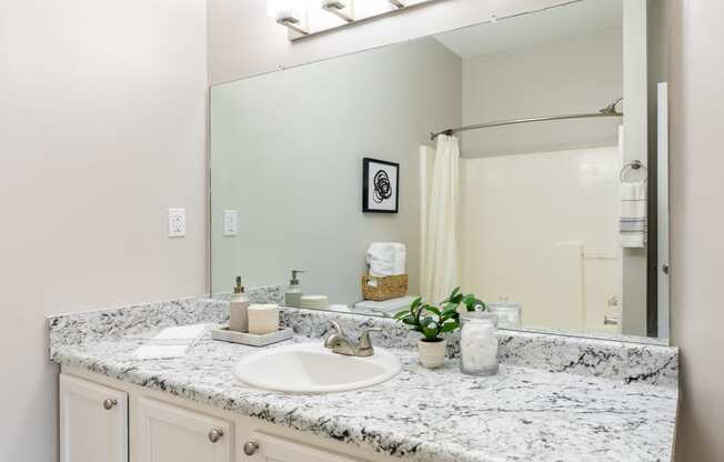 a bathroom with a sink and a mirror and a shower