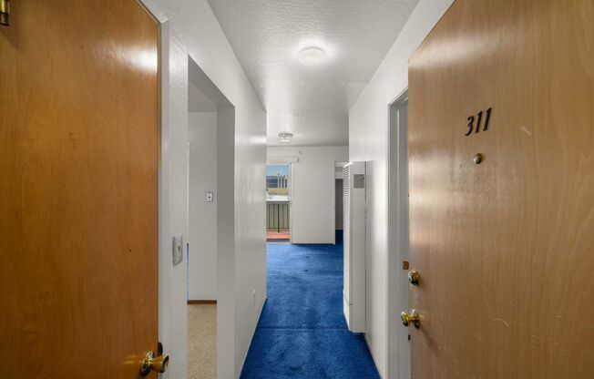 Studio, 1 bath, 390 sqft, $1,795, Unit 102