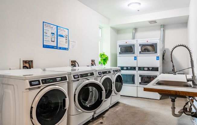 Studio, 1 bath, $775, Unit 217