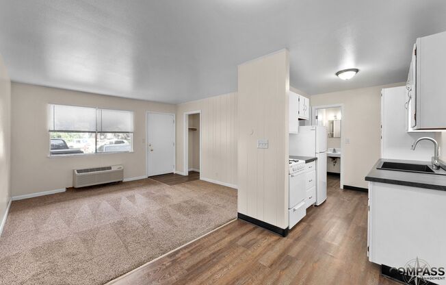 1 bed, 1 bath, 480 sqft, $875, Unit 113