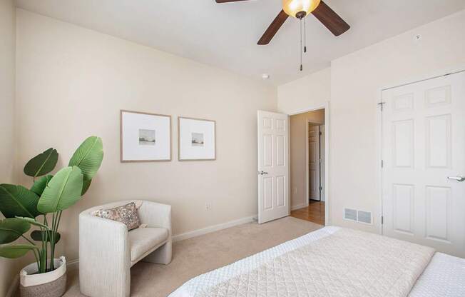 A living room with a white couch, a potted plant, and a ceiling fan.