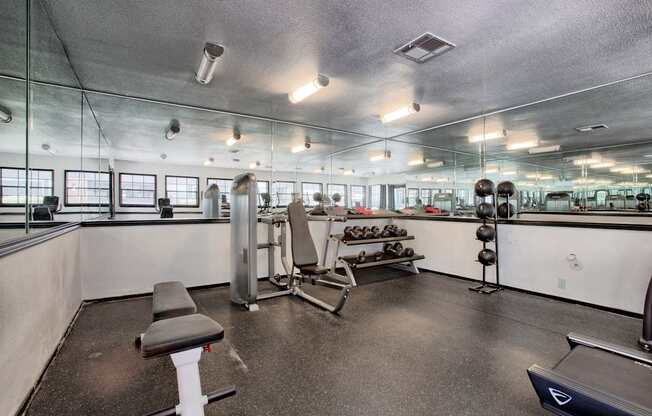 A gym with a variety of equipment including weights and a bench.