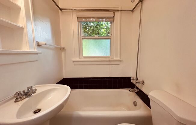 Studio, 1 bath, 310 sqft, $1,299, Unit 204