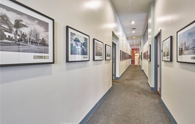 2 beds, 2 baths, 1,320 sqft, $3,850, Unit 1603