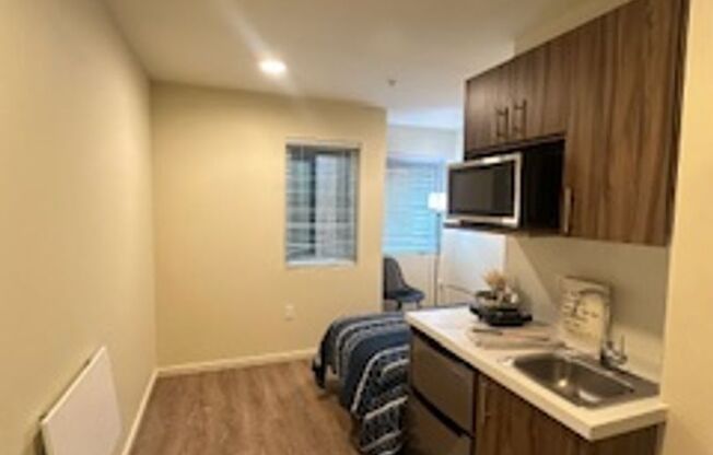 Studio, 1 bath, 175 sqft, $1,035, Unit 423