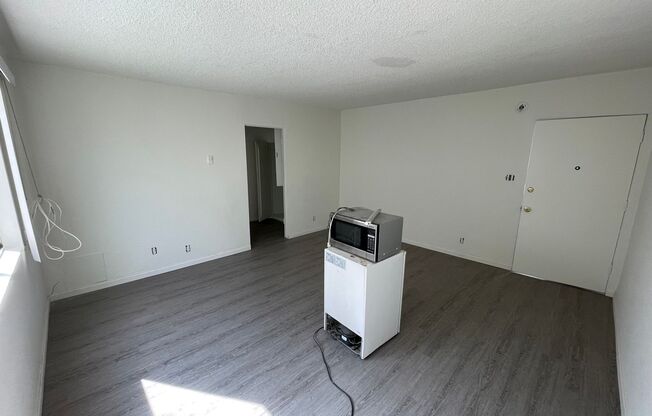 Studio, 1 bath, 250 sqft, $1,995