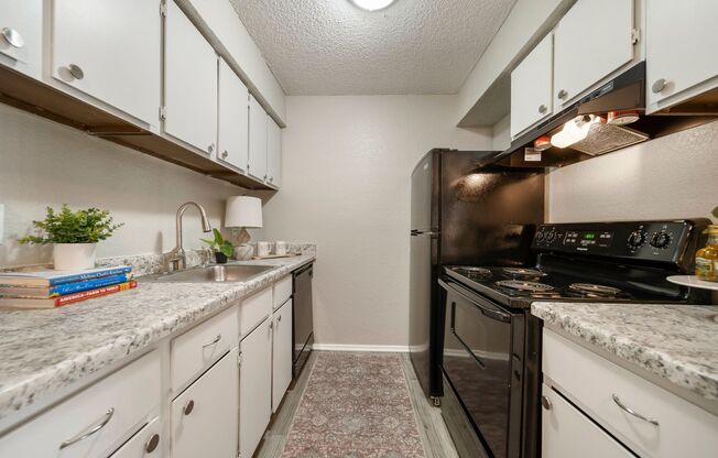 1 bed, 1 bath, 700 sqft, $849, Unit 205