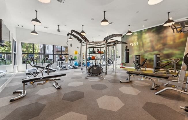 the gym at the colony apartments