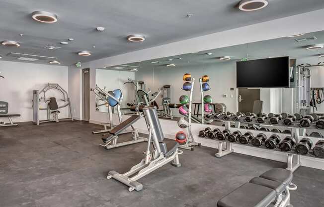 The Roy Lifestyle - Fitness Center