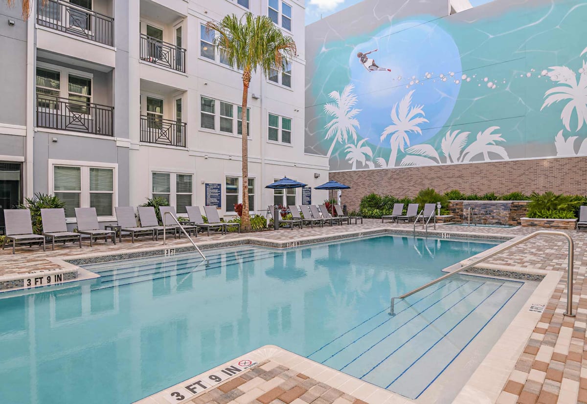 Brand-New Luxury Apartments in Tampa, Florida