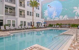 Brand-New Luxury Apartments in Tampa, Florida