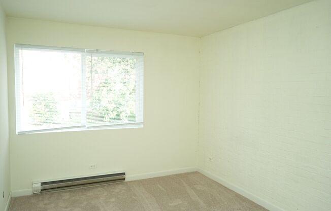 1 bed, 1 bath, $1,200, Unit Apt #13