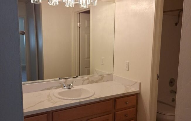 1 bed, 1 bath, 790 sqft, $2,295, Unit 14