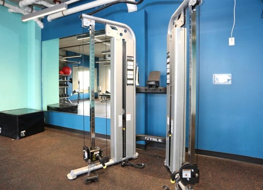 Fully Equipped Fitness Center at The George &amp; The Leonard, Georgia, 30312