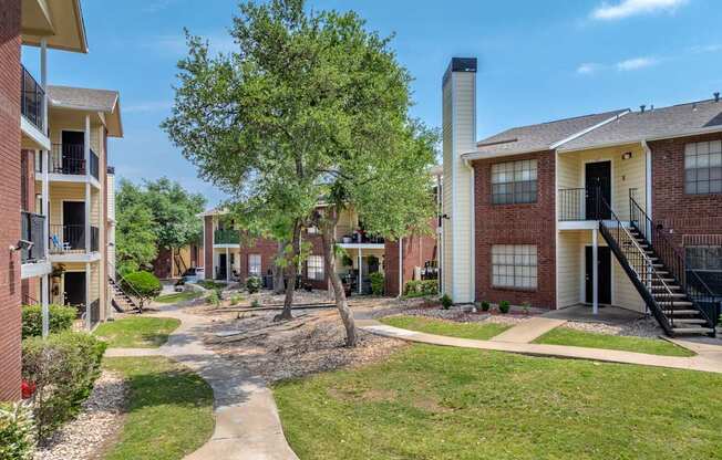 A tree in a grassy area in front of apartment buildings.