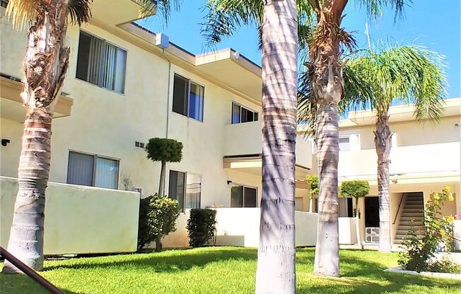 1 bed, 1 bath, 650 sqft, $1,950, Unit 9