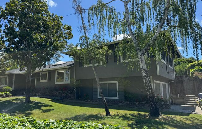 Beautiful house with backyard pool in Los Gatos! 5bd/3ba! - Coming Soon