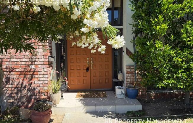 10744 DEEP CLIFFE DR