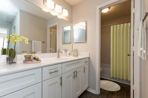Luxurious Bathroom at Edgemont  Apartments, PRG Real Estate, South Carolina, 29615