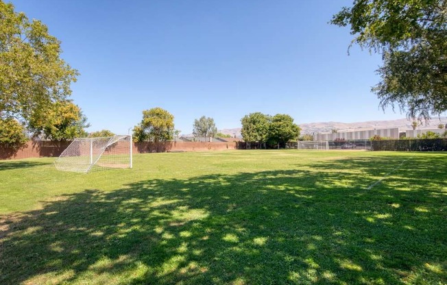 A grassy field with trees and a fence in the distance.