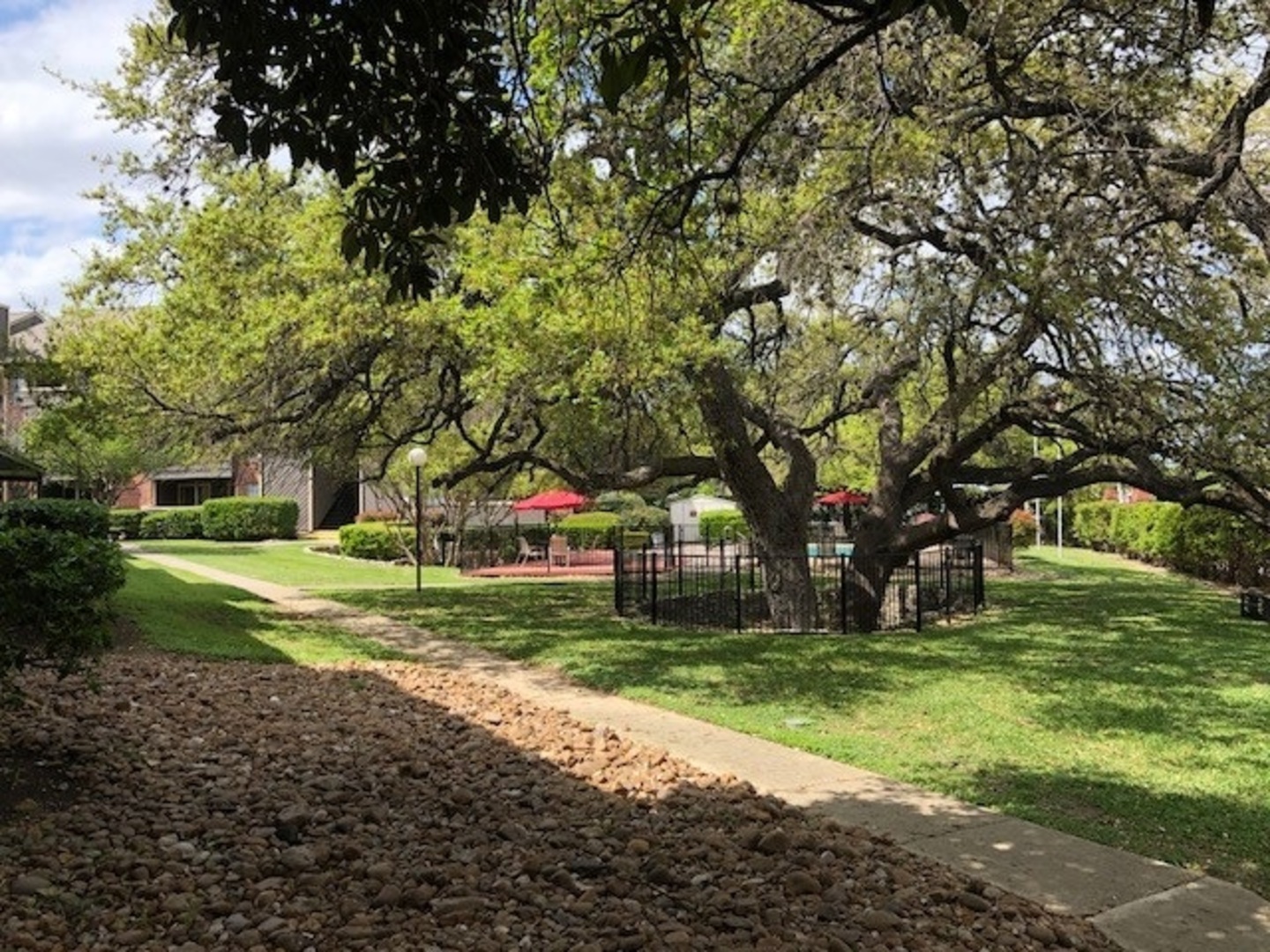 Lexington Apartments