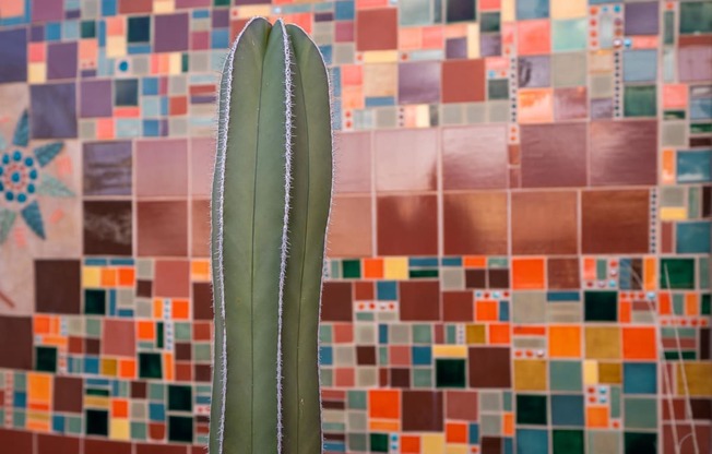 Community Art at Avilla Preserve Apartment Homes in Tucson Arizona
