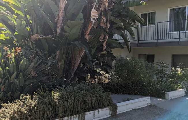 Lush landscaping at Los Robles Apartments in Pasadena, California.