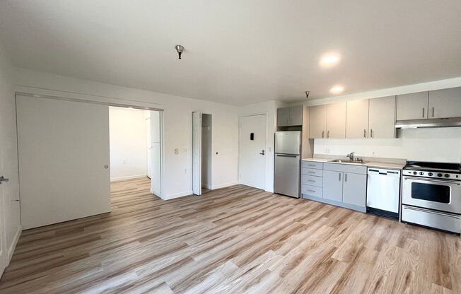 1 bed, 1 bath, 480 sqft, $1,495, Unit 204