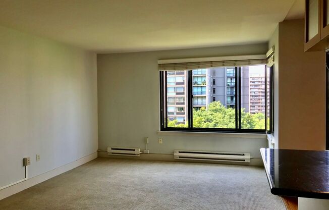 1 bed, 1 bath, $1,695, Unit Unit 905