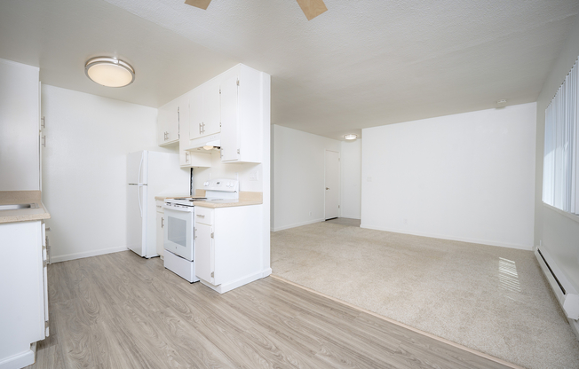 Oliva #37 kitchen-living