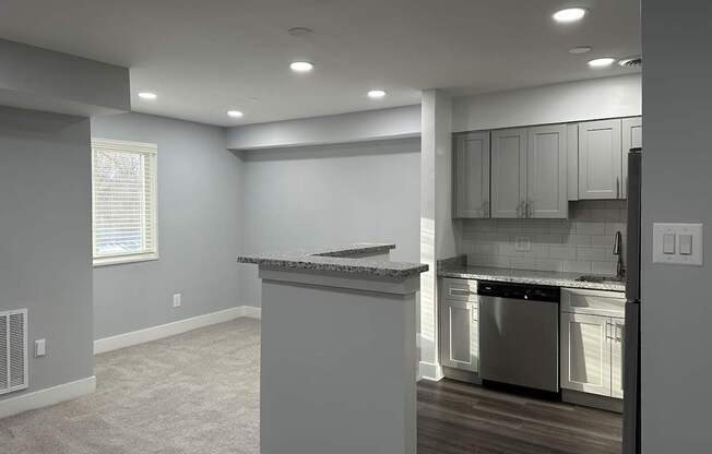 A kitchen with a dishwasher and a countertop.