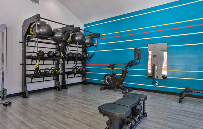 a fitness room with weights machines and a punching bag
