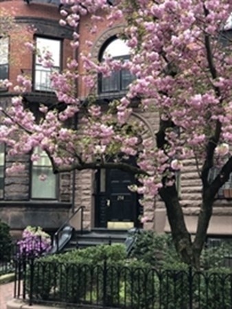 258 MARLBOROUGH ST