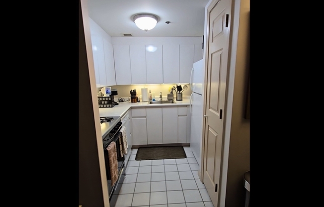 Studio, 1 bath, 537 sqft, $3,200, Unit 205