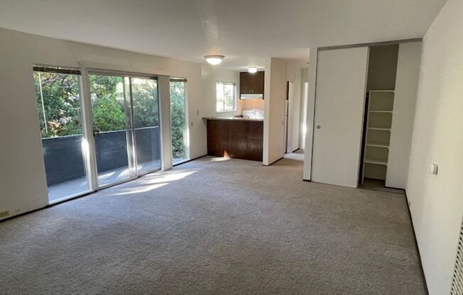 356 Jayne Ave