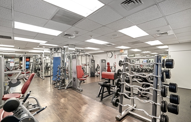 2 beds, 2 baths, 900 sqft, $3,800, Unit 201