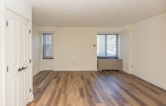 Studio, 1 bath, 368 sqft, $1,555, Unit 513