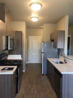 1 bed, 1 bath, 728 sqft, $1,505, Unit 318