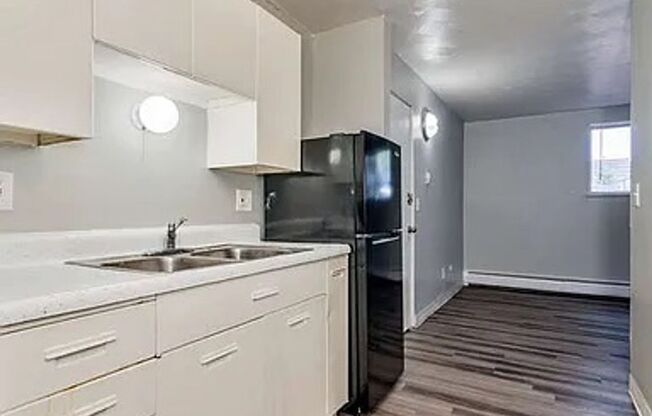 1 bed, 1 bath, 546 sqft, $1,000, Unit 1