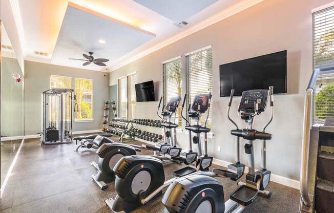 Brandon Fitness Center at The Oasis at Brandon, Florida, 33578