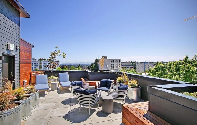 Studio, 1 bath, 235 sqft, $1,042, Unit 203