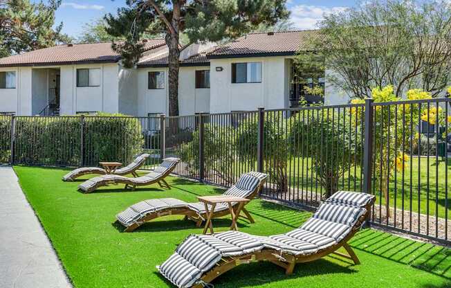 A row of sun loungers are on a green lawn.