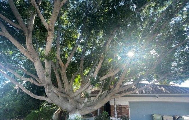 6049 W Grandview Rd Glendale