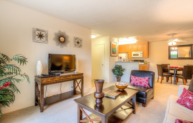 A living room with a television, a couch, and a potted plant.